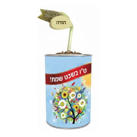 פחית שעועית הקסם