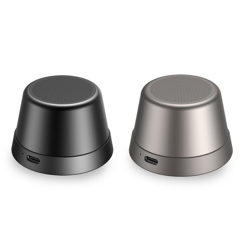 רמקולים ממותגים