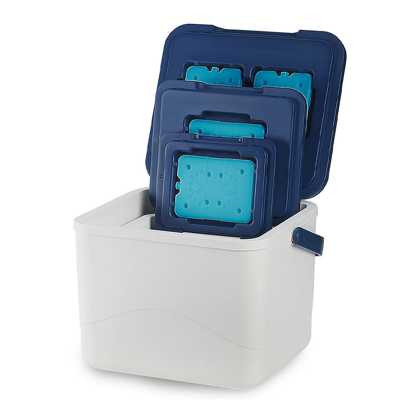 צידניות ממותגות